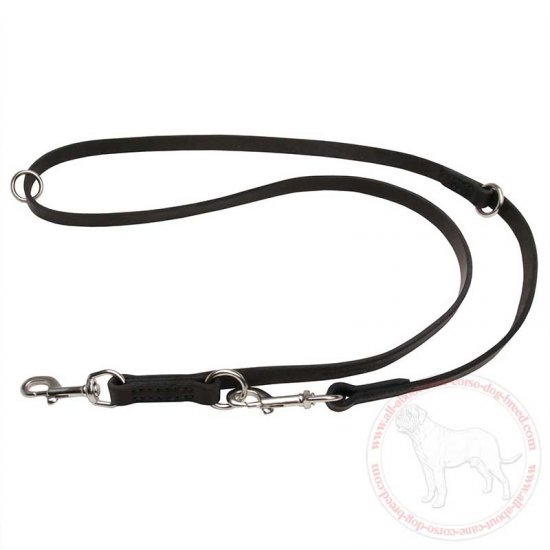 steel dog lead