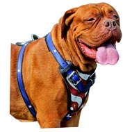 Exclusive Luxurious Handcrafted Padded Leather Dog Harness Perfect for your  Dogue De Bordeaux H10 [H10##1073 Leather dog harness Y-shaped padded] -  $123.99 : Best quality dog supplies at crazy reasonable prices 
