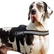 Multifunctional Nylon Dog Harness with Reflective Front Strap for Great Dane