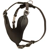 Walking Exclusive Leather Dog Harness for Cane Corso Breed  Walking Exclusive Leather Dog Harness for Cane Corso Breed