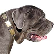 Designer Leather Dog Collars  War Mastino Napoletano Collar