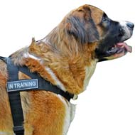 Multifunctional Nylon Rottweiler Harness with ID Patches [H17