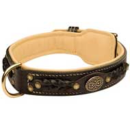 Fashionable Royal Nappa Padded Hand Made Leather Dog Collar for Cane Corso  Fashionable Royal Nappa Padded Hand Made Leather Dog Collar for Cane Corso