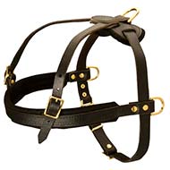 Tracking/Pulling/Agitation Leather Dog Harness for Cane Corso Breed  Tracking/Pulling/Agitation Leather Dog Harness for Cane Corso Breed
