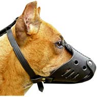 Custom pitbull clearance muzzles