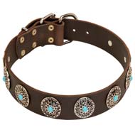 Wide Leather Dog Collar with Silver Plated Circles and Blue Stones  Wide Leather Dog Collar with Silver Plated Circles and Blue Stones