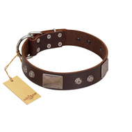 "Stone Stars" Stylish Handmade FDT Artisan Brown Leather Cane Corso Collar  "Stone Stars" Stylish Handmade FDT Artisan Brown Leather Cane Corso Collar