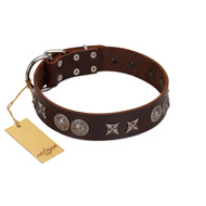 "Antique Style" Designer Handmade FDT Artisan Brown Leather Cane Corso Collar  "Antique Style" Designer Handmade FDT Artisan Brown Leather Cane Corso Collar