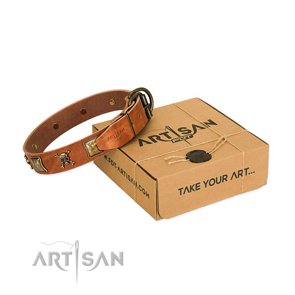 Unique full grain natural leather dog collar with rust resistant studs