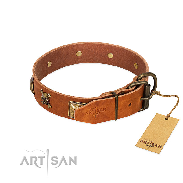 Stylish full grain natural leather dog collar with corrosion proof adornments