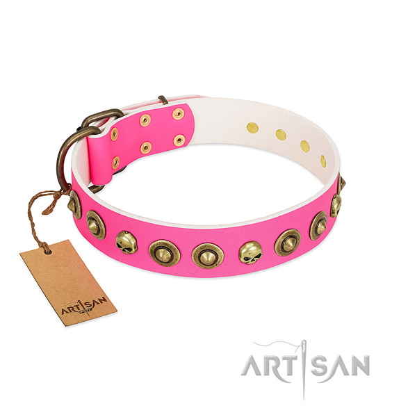 Natural leather collar with incredible decorations for your canine