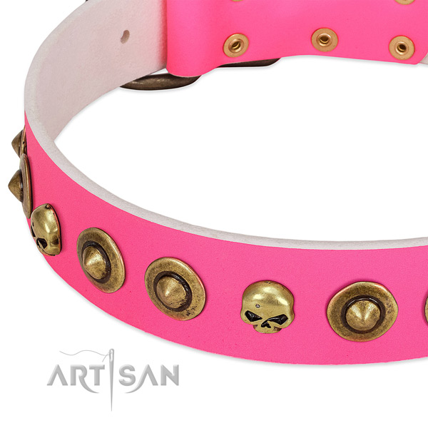 Significant adornments on genuine leather collar for your pet