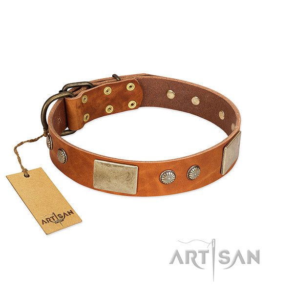 Easy to adjust full grain natural leather dog collar for walking your pet