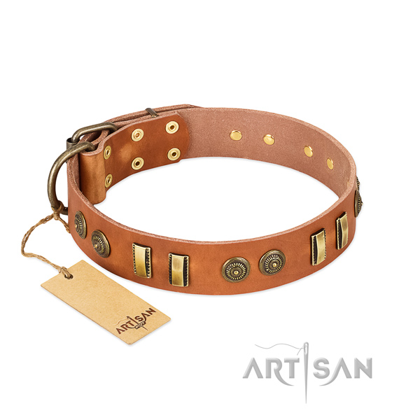 Reliable fittings on genuine leather dog collar for your dog