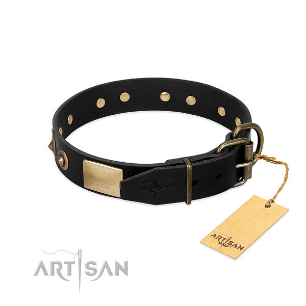 Rust-proof traditional buckle on comfortable wearing dog collar