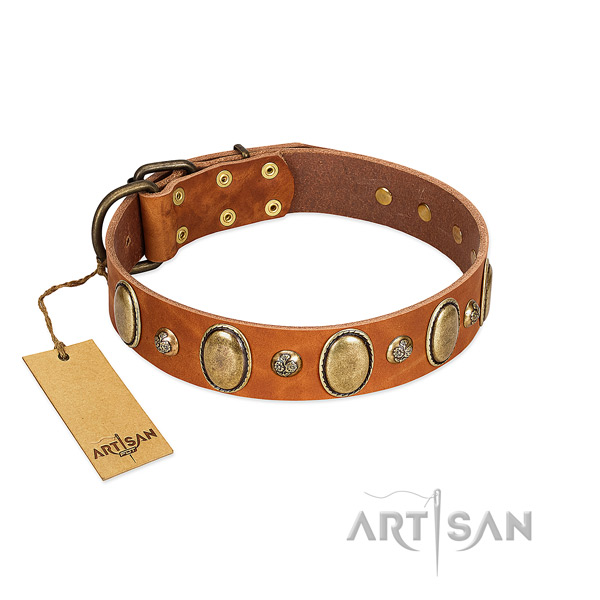 Genuine leather dog collar of quality material with stylish studs