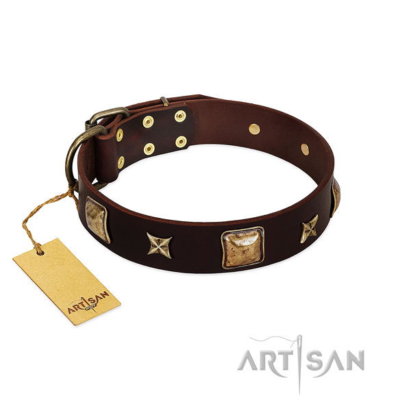 Fine quality leather collar for your pet
