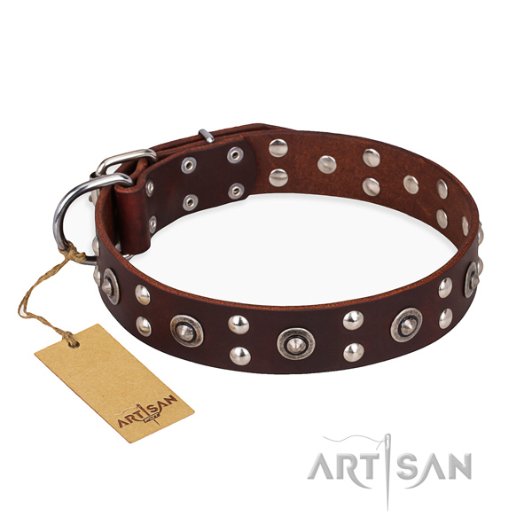 Daily use unique dog collar with durable hardware