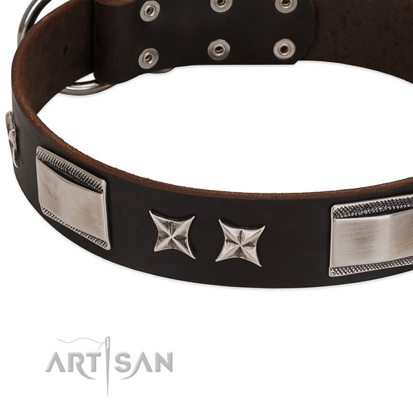 Soft full grain leather dog collar with durable traditional buckle