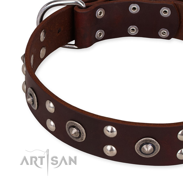 Full grain genuine leather collar with rust resistant hardware for your handsome pet