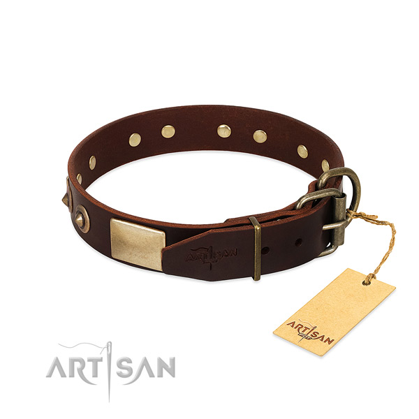 Reliable buckle on easy wearing dog collar