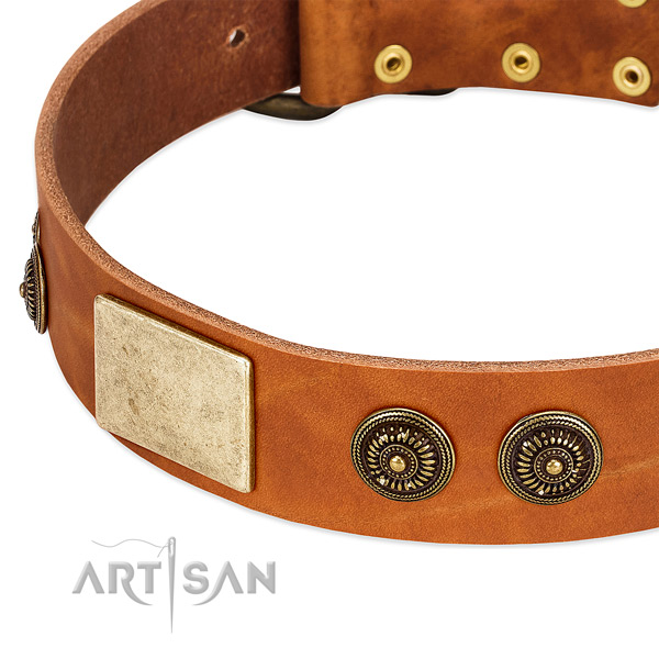 Top notch dog collar crafted for your impressive dog