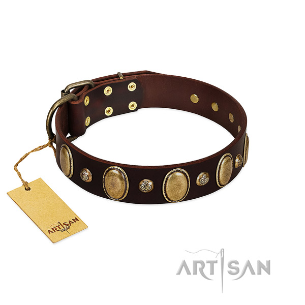 Natural leather dog collar of top notch material with stylish embellishments