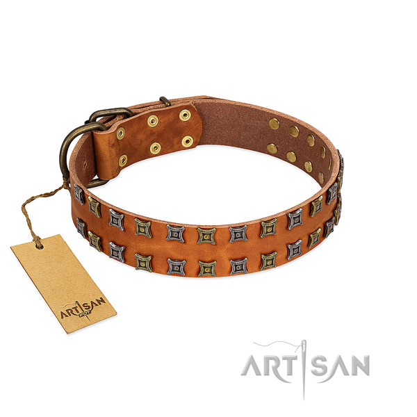 Quality natural leather dog collar with studs for your doggie