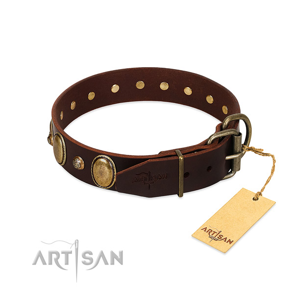 Corrosion resistant fittings on full grain natural leather collar for basic training your four-legged friend