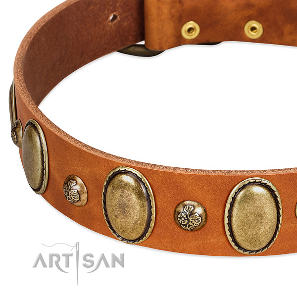 Full grain natural leather dog collar with inimitable embellishments