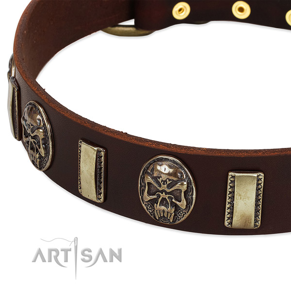 Rust-proof traditional buckle on full grain genuine leather dog collar for your canine