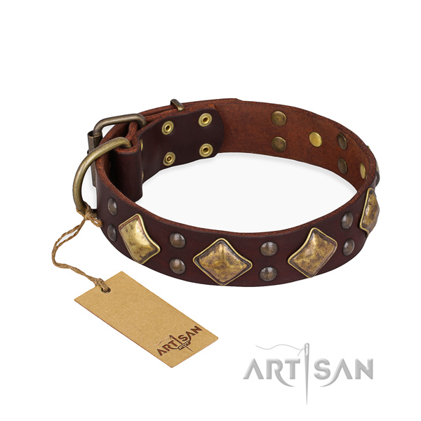Easy wearing unusual dog collar with reliable buckle