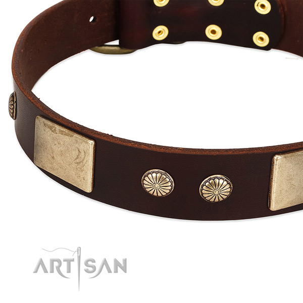 Durable buckle on leather dog collar for your doggie