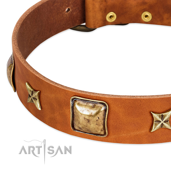 Rust resistant fittings on natural genuine leather dog collar for your pet