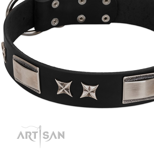 Quality genuine leather dog collar with rust resistant fittings