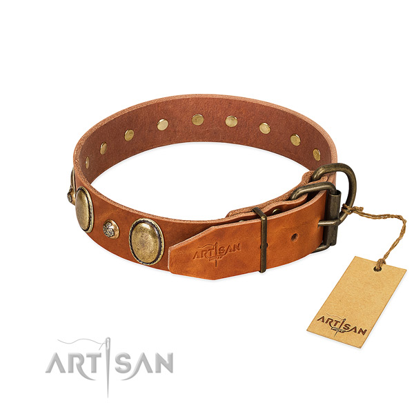 Corrosion proof traditional buckle on full grain leather collar for everyday walking your doggie
