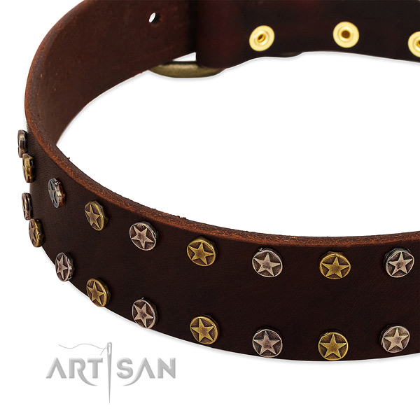 Easy wearing full grain genuine leather dog collar with designer studs