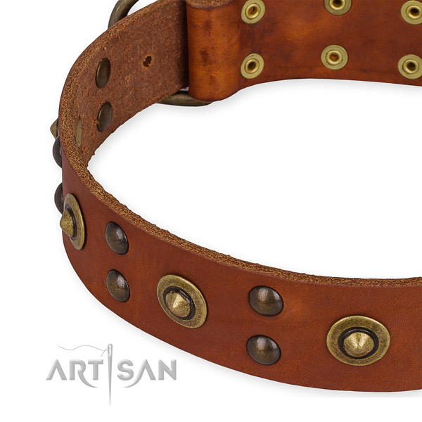 Full grain genuine leather collar with rust-proof hardware for your impressive canine