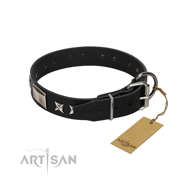Quality genuine leather dog collar with reliable traditional buckle