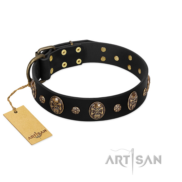 Studded leather collar for your pet