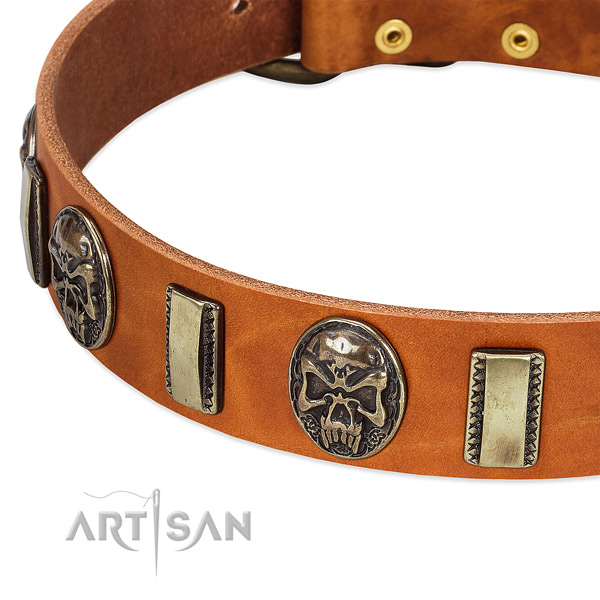Strong decorations on genuine leather dog collar for your canine