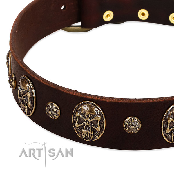 Durable adornments on genuine leather dog collar for your canine