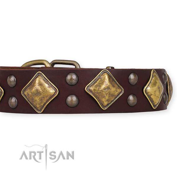 Genuine leather collar with strong buckle for your attractive four-legged friend