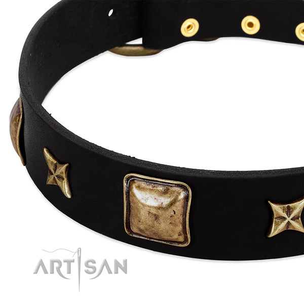 Full grain natural leather dog collar with exceptional embellishments
