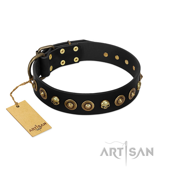 Natural leather collar with fashionable decorations for your dog