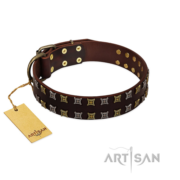 Soft leather dog collar with studs for your dog