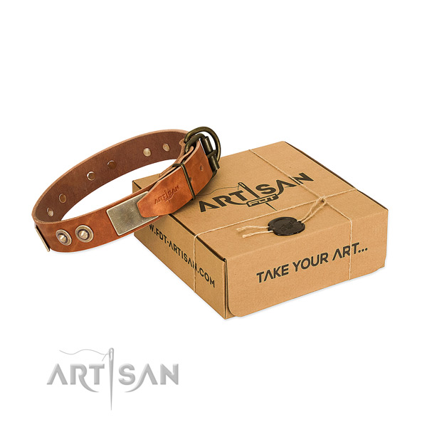 Rust resistant buckle on dog collar for stylish walking