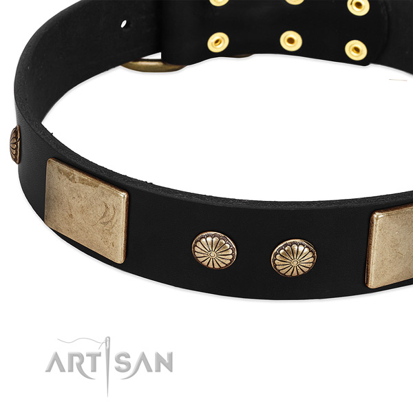 Leather dog collar with decorations for walking