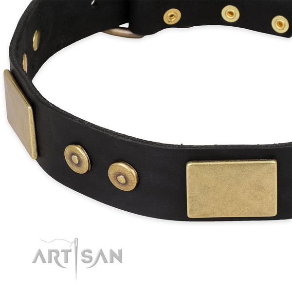 Reliable studs on natural genuine leather dog collar for your doggie