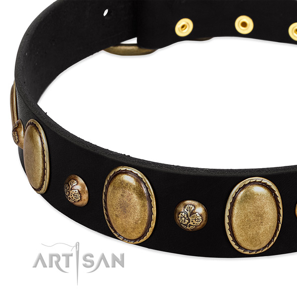 Full grain natural leather dog collar with stunning studs